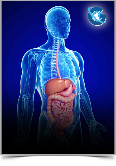 Alcoholic Liver Disease and Orthotopic Liver Transplantation