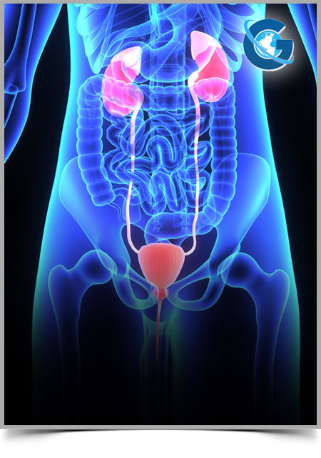 A Rare Etiology of Gastrointestinal Bleeding: Polycystic Kidney Disease
