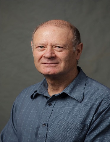 Arkady S Voloshin