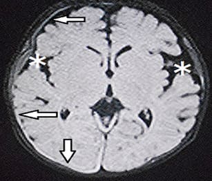 journal article