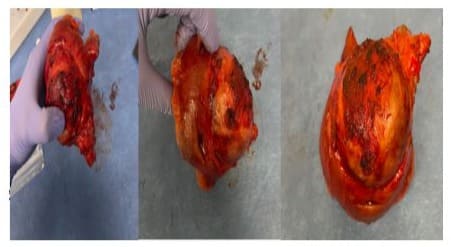 journal article