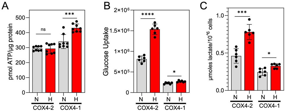 Article Figure