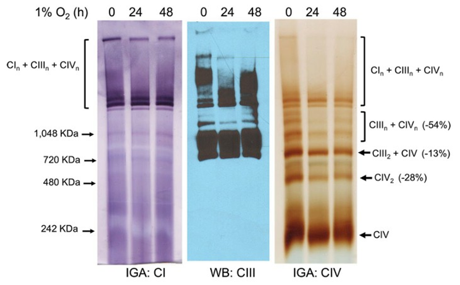 Article Figure
