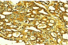 Article Figure