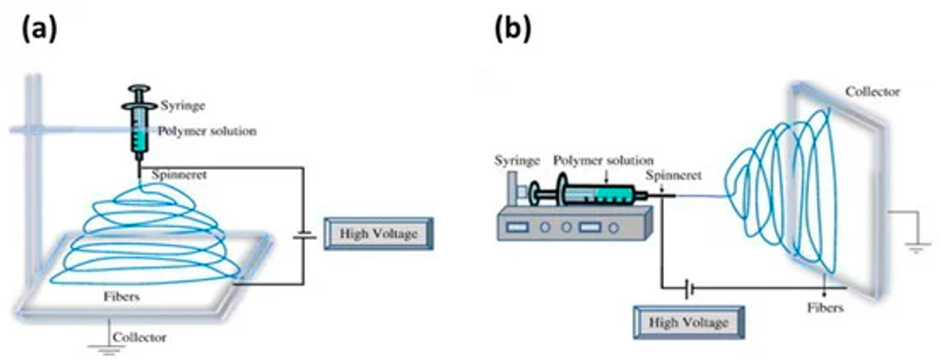 Article Figure