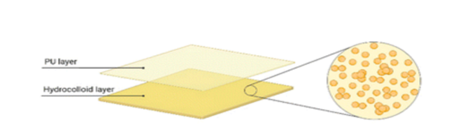Article Figure
