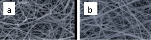 Article Figure