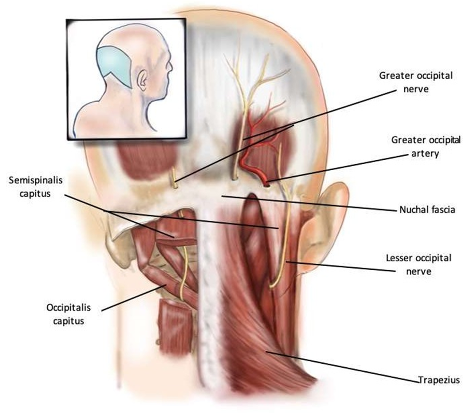 Article Figure