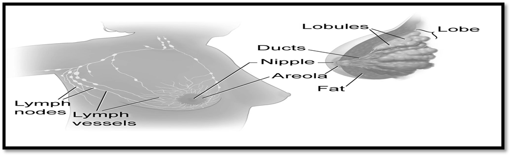 Article Figure