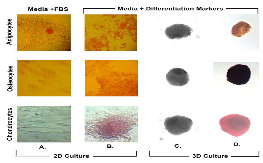 Article Figure