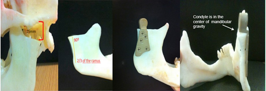 Article Figure