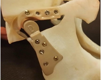 Article Figure