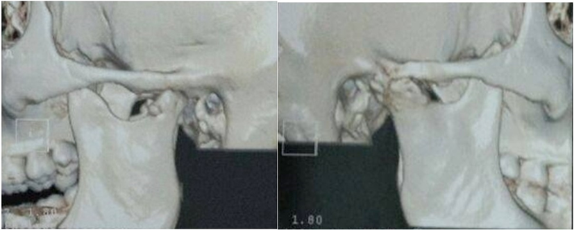 Article Figure