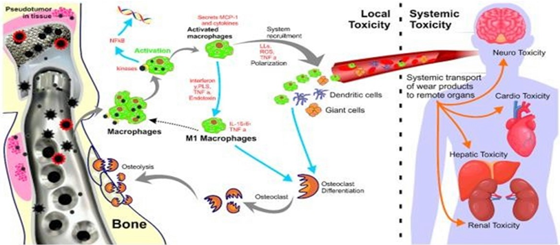 Article Figure