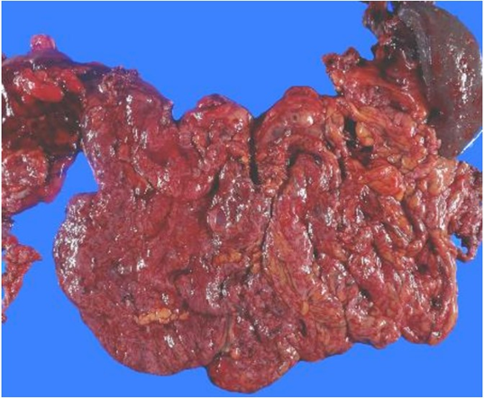 Article Figure