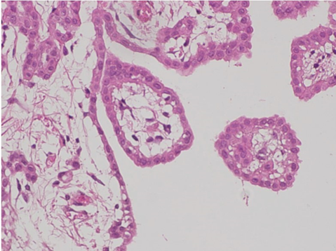 Article Figure