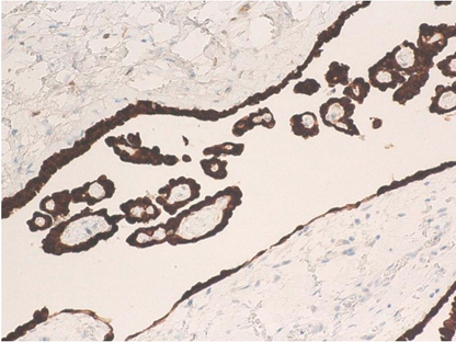 Article Figure