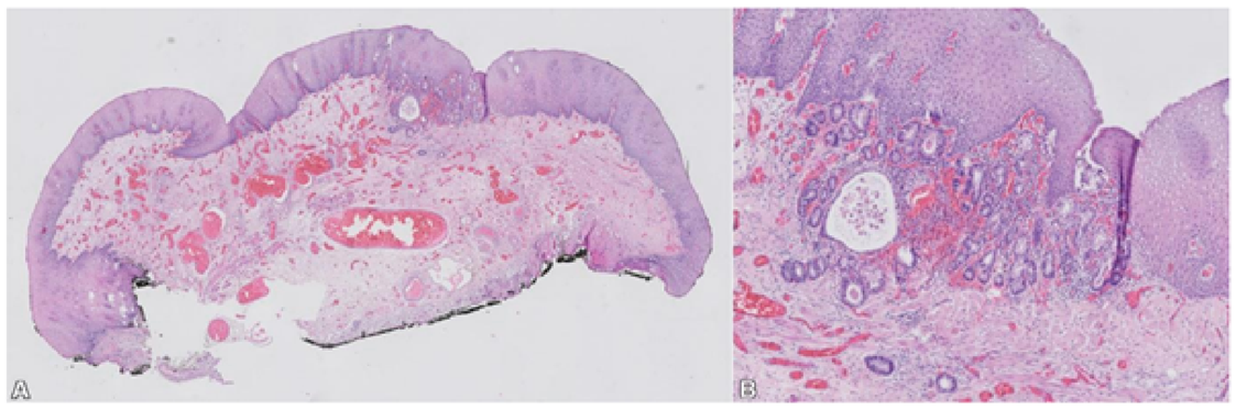 Article Figure