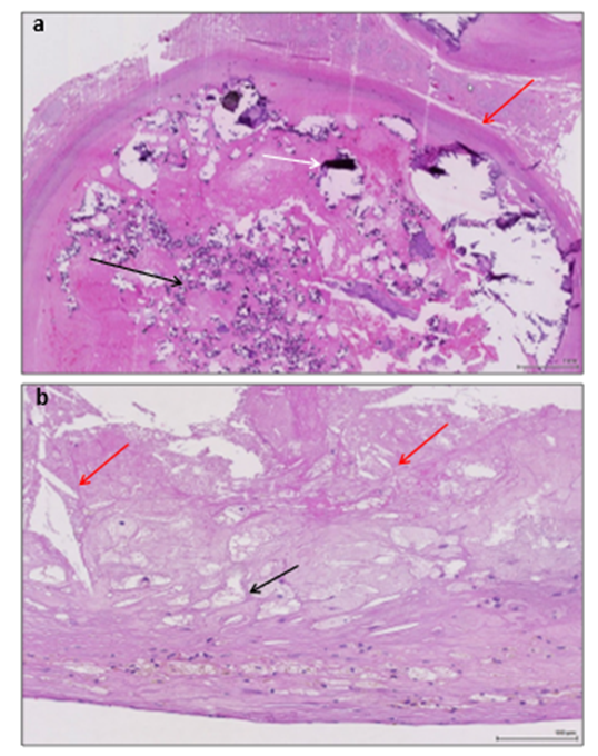 Article Figure