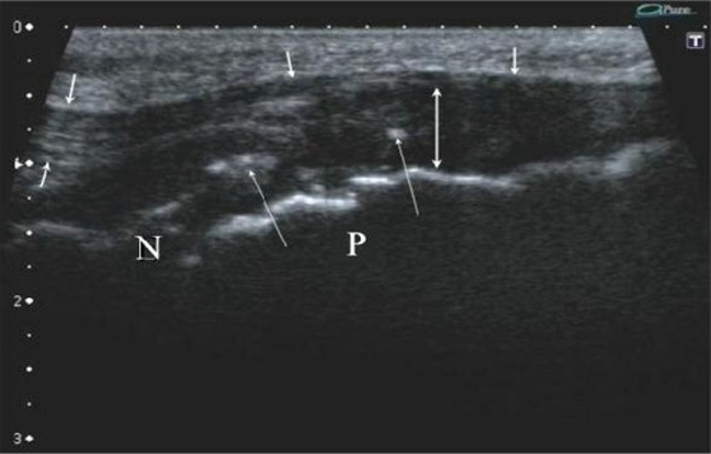 Article Figure