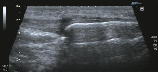Article Figure
