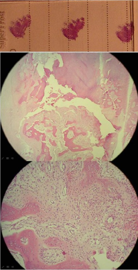 Article Figure