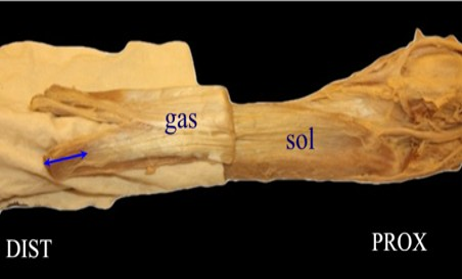 Article Figure