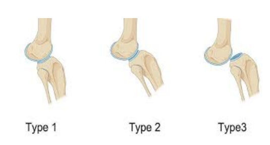 Article Figure