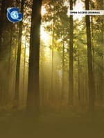 Current Water Crisis Issues and Impacts of Decreasing Forest Cover in Indian Highlands: Case Study from a Himalayan State of India