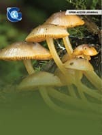 MALDI-TOF Clinical Filamentous Fungi Identification. Bead Beating Versus Acid Solvent Protein Extraction Method