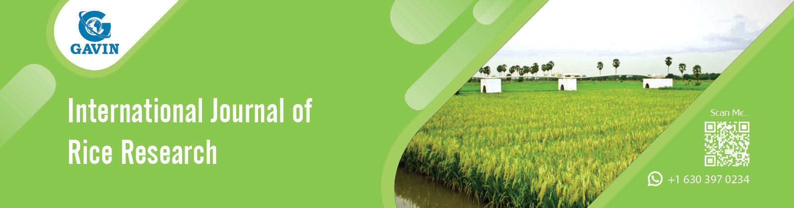 International Journal of Rice Research